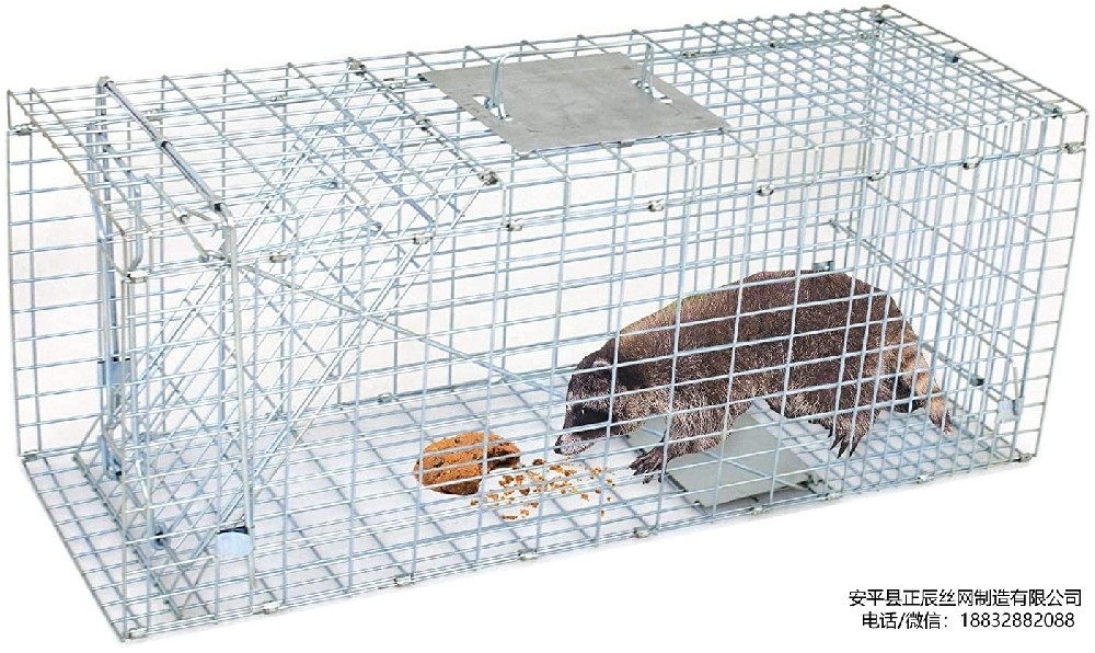 動物捕捉陷阱